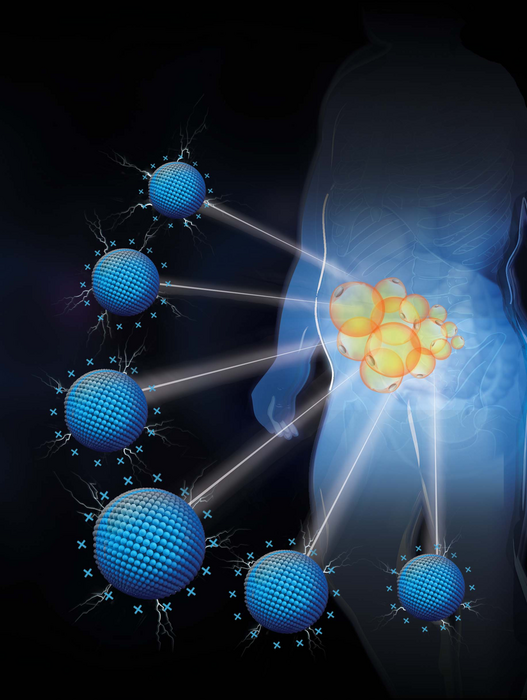 兩篇文章開啟隨心所欲定向減肥：首款選擇性靶向內臟脂肪的納米藥物